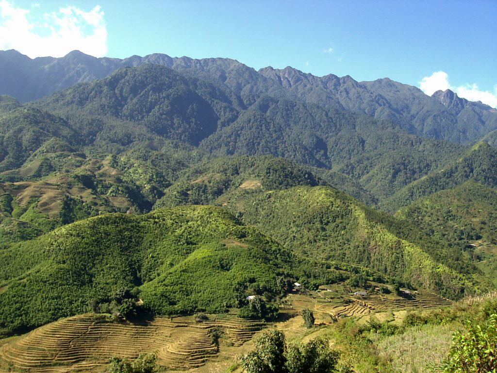 Terrazas de arroz de Sapa