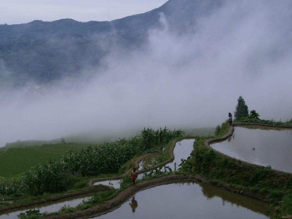 Yunnan - Arrozales de Yuanyang - Terrazas de arroz de Duoyishu