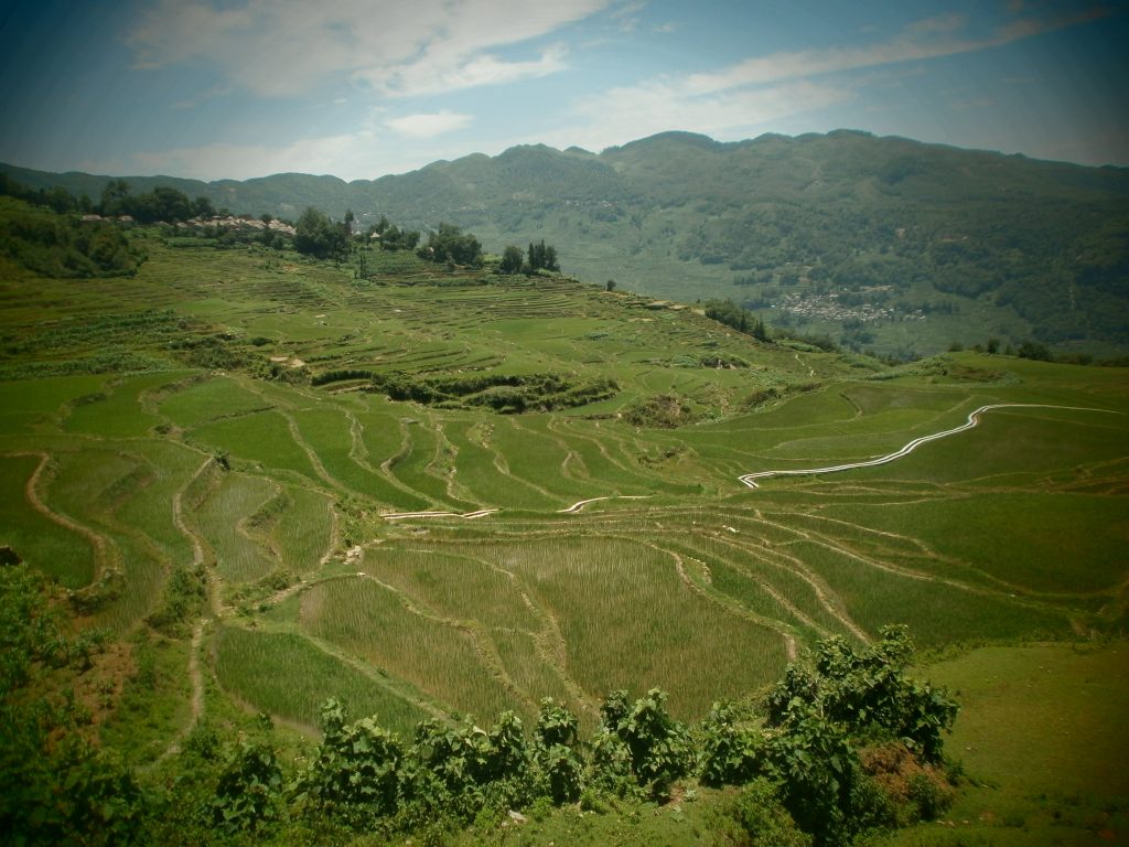 Yunnan - Terrazas de arroz de Yuanyang