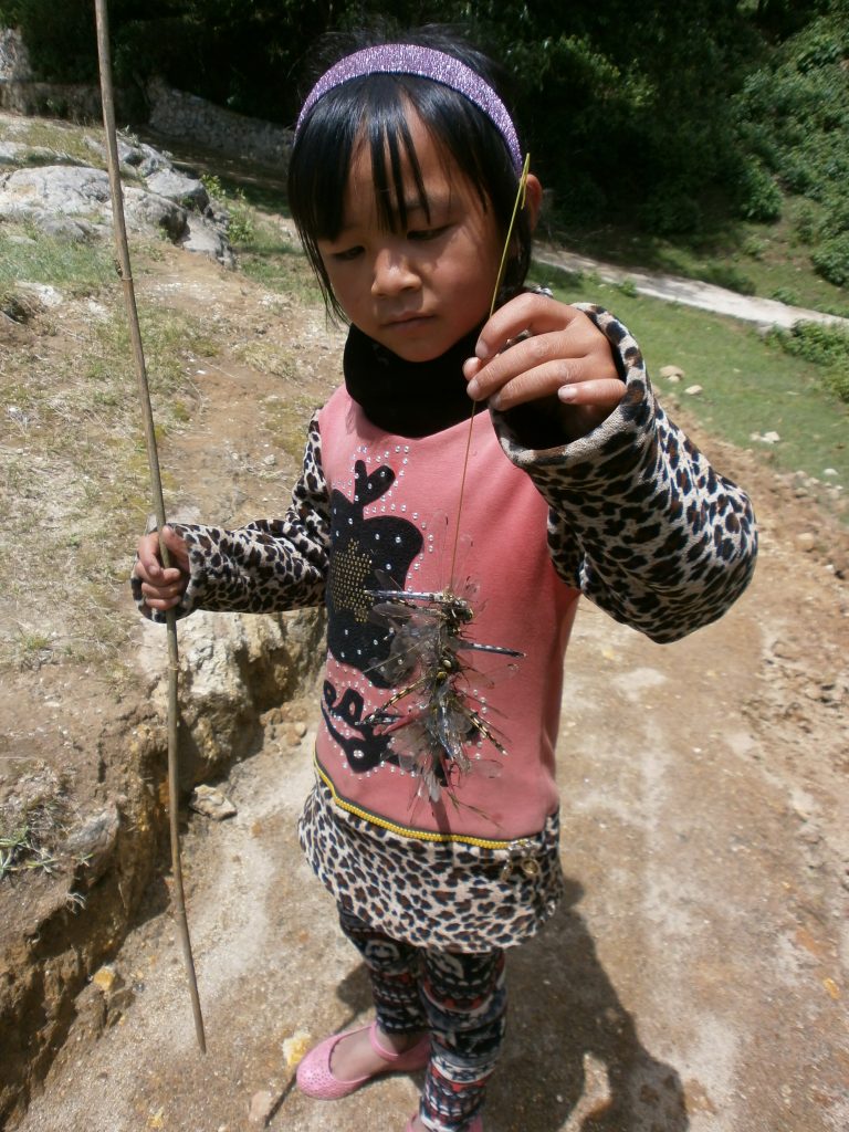 Yunnan - Terrazas de arroz de Yuanyang - Cazando libélulas