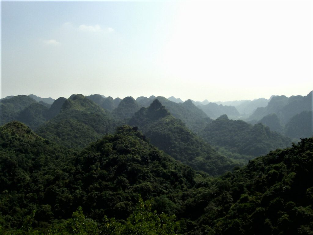 Vietnam -  Cat Ba Viewpoint