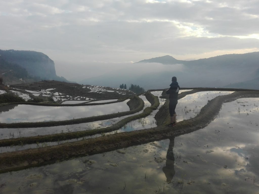 Caminando por las Terrazas de arroz Duoyishu, Yunnan