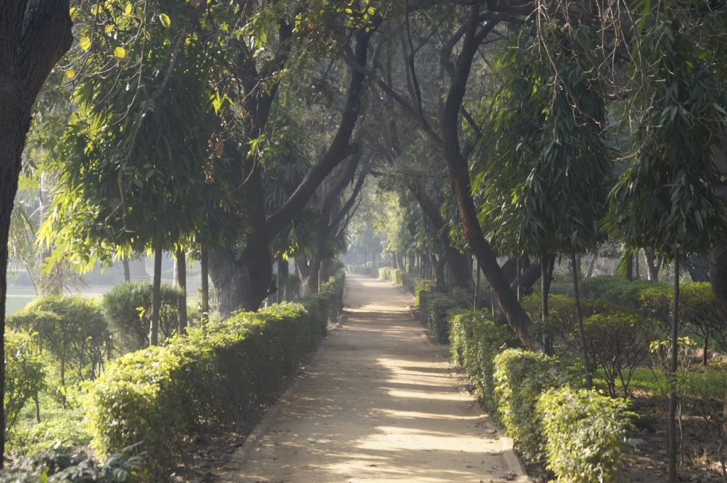 India - Park in the center of New Delhi