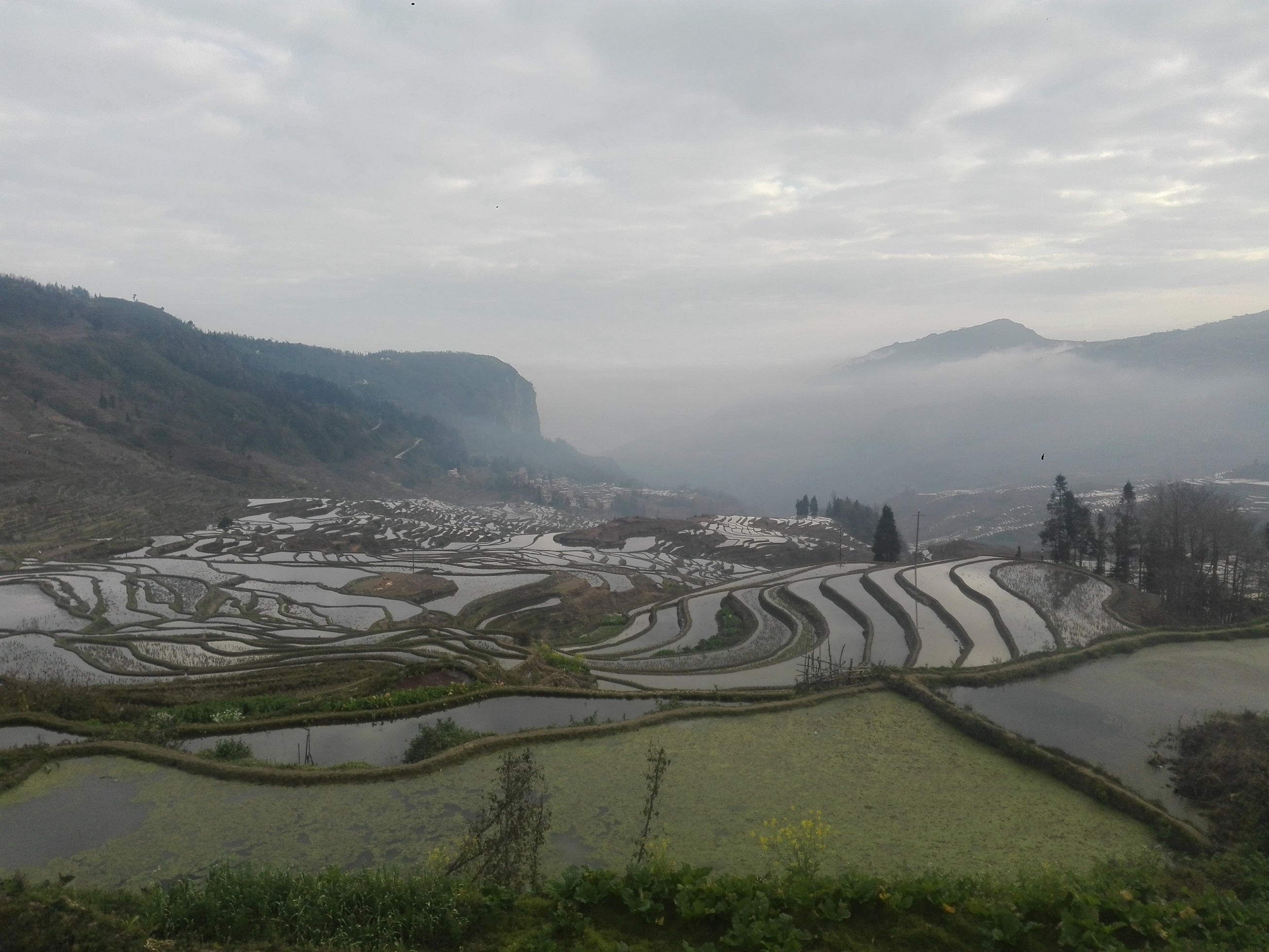 Viaje a China - Yuanyang - Terrazas de arroz de Duoyishu
