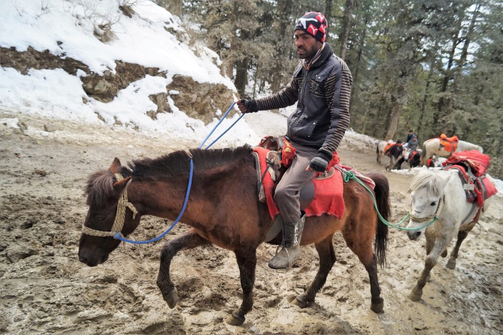 A caballo por Shimla