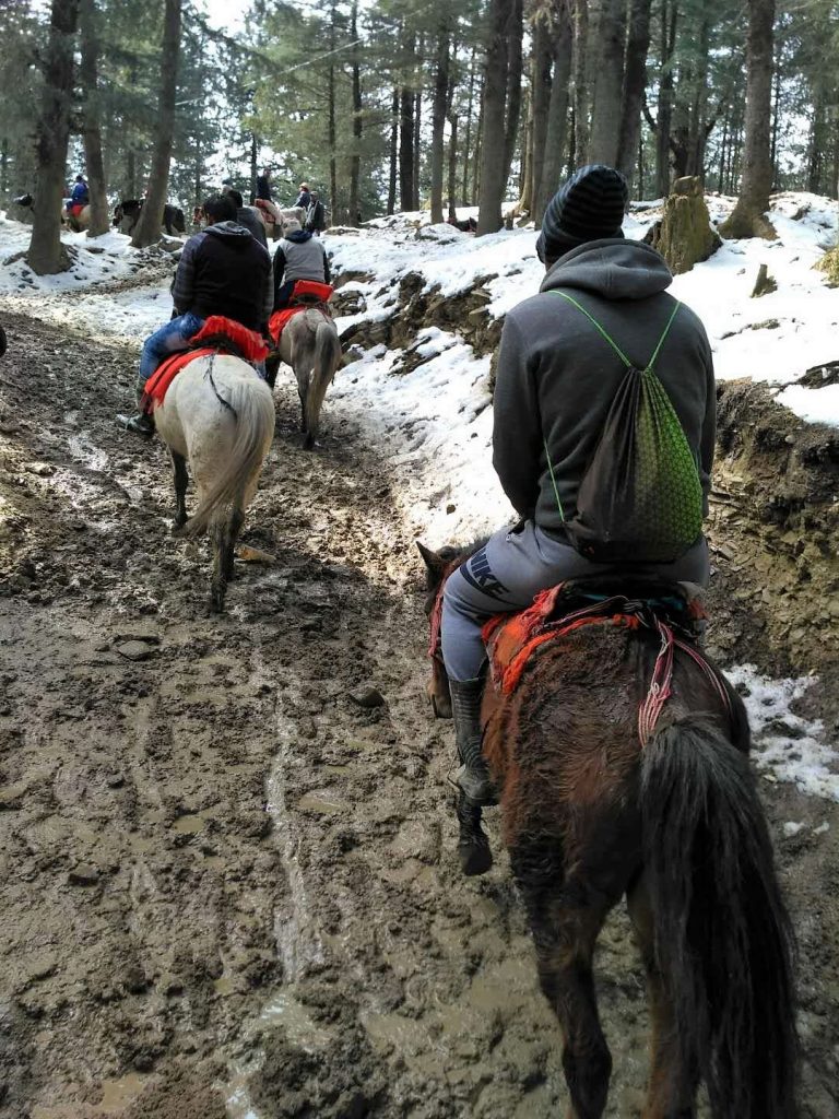 Shimla - Parque Kufri Natural a caballo