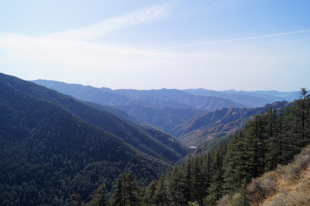 Himalayan Forests, India