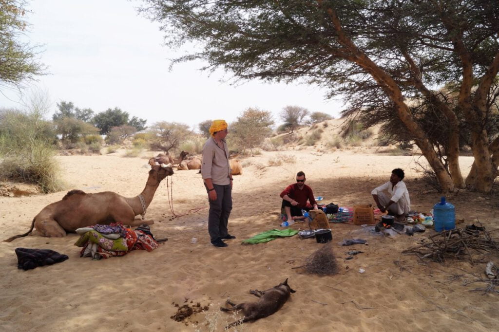 Picnic lunch during Thar Desert Safari, Rajasthan