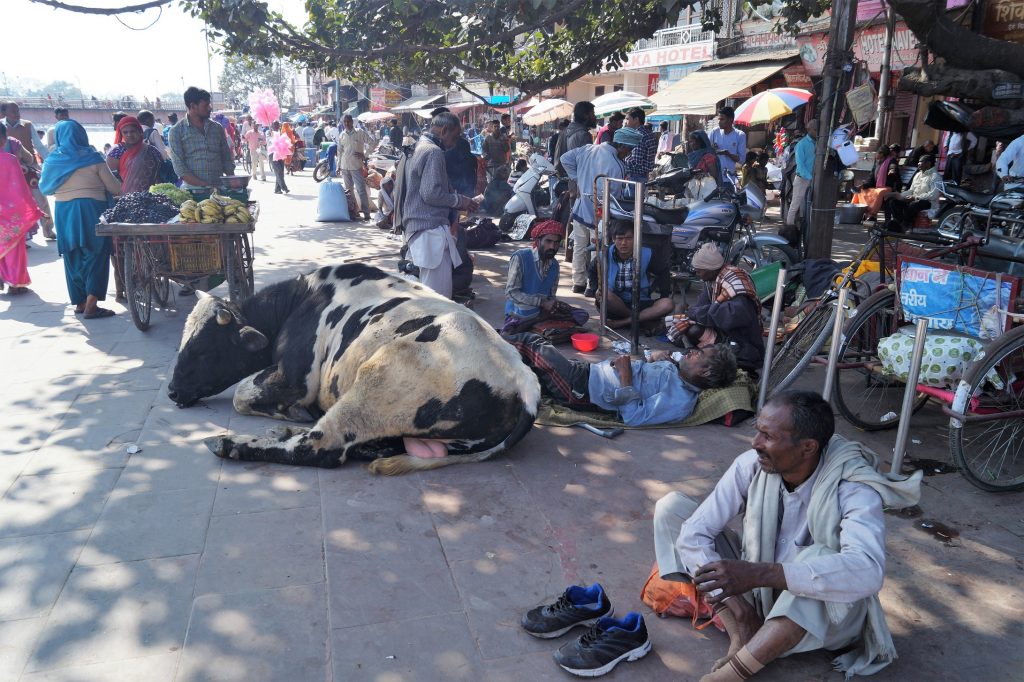 Consejos para la India - Calle Haridwar, típica calle de la India 