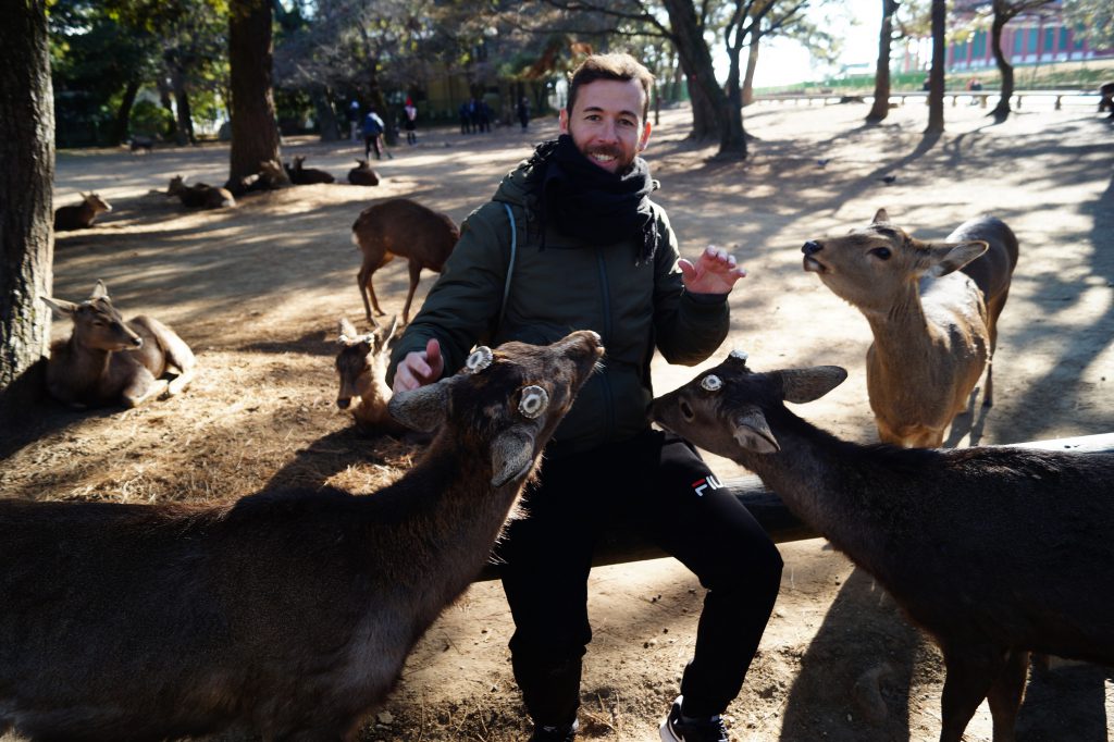 Dando de comer a los ciervos de Nara