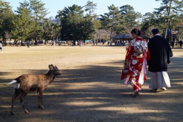 Nara - Parque de Nara - Vestidos tradicionales