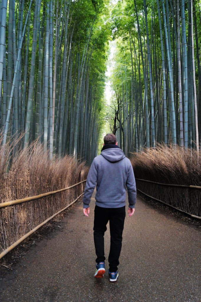 Kyoto - Arashiyama - Bamboo Forest