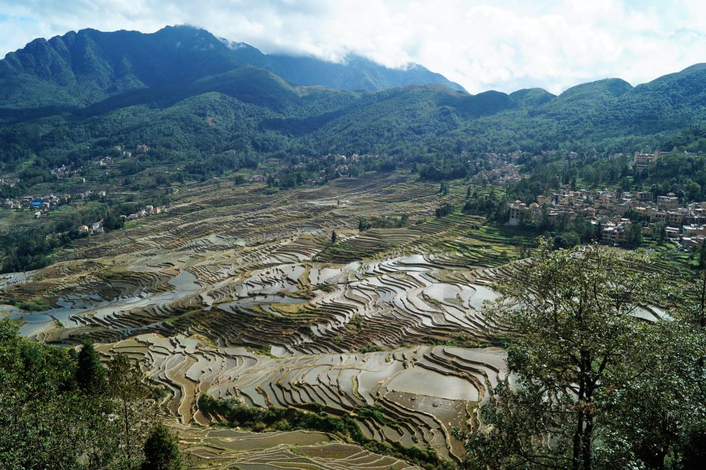 Viaje organizado a Yunnan - Arrozales de Yuanyang