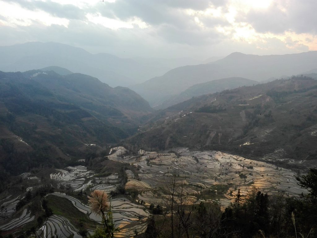 Yunnan - Terrazas de arroz de Laohuzui con agua