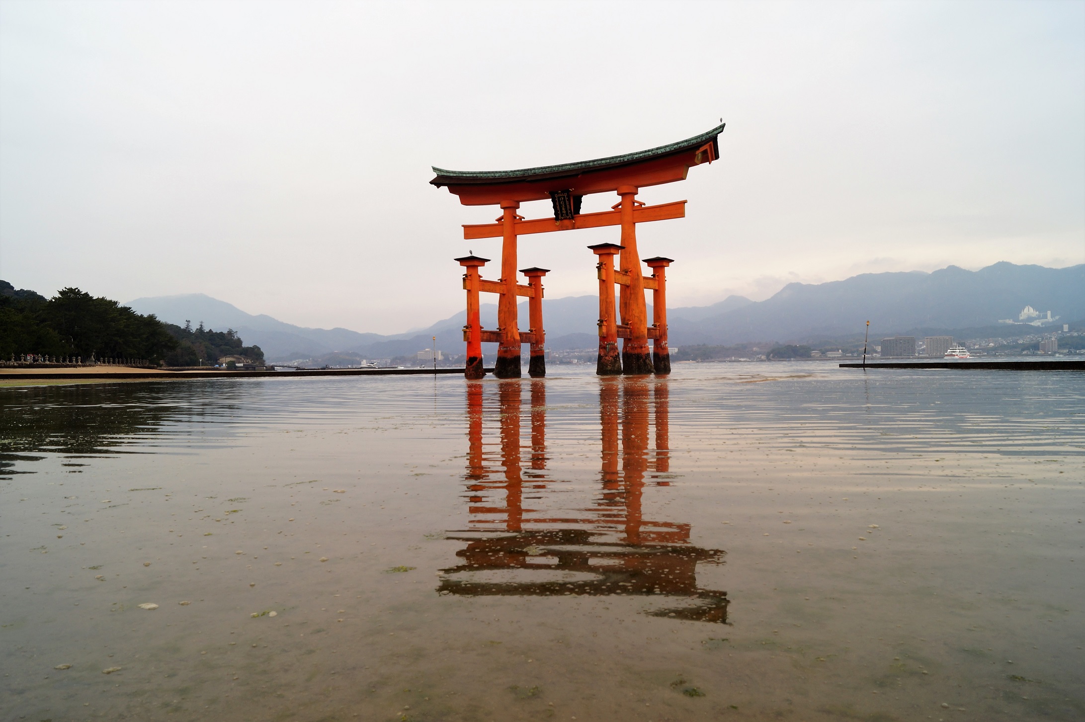 Japón - Visita al gran Torii