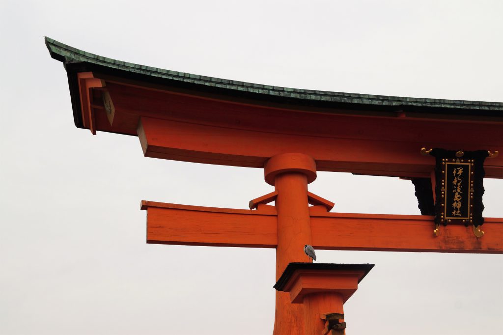 Un día visitando el Torii de Miyajima