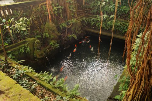 Viaje a Bali - El Bosque de los Monos (Monkey Forest) - Estanque