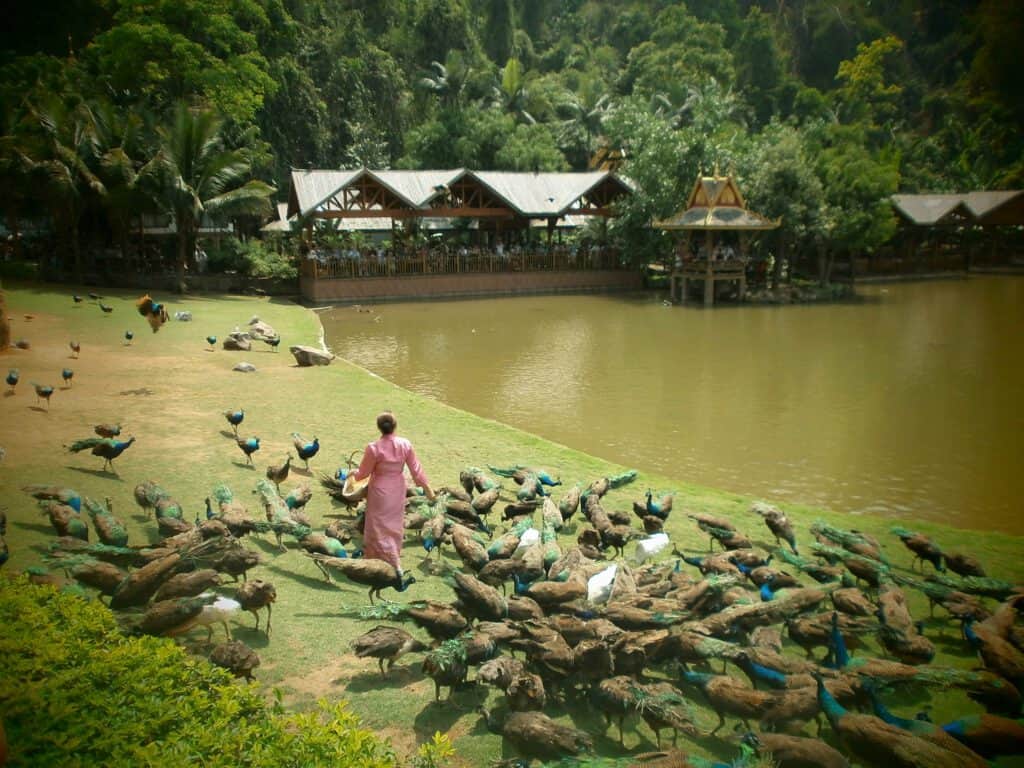 Peacock Park, Xishuangbanna, Xishuangbanna, Yunnan, Yunnan