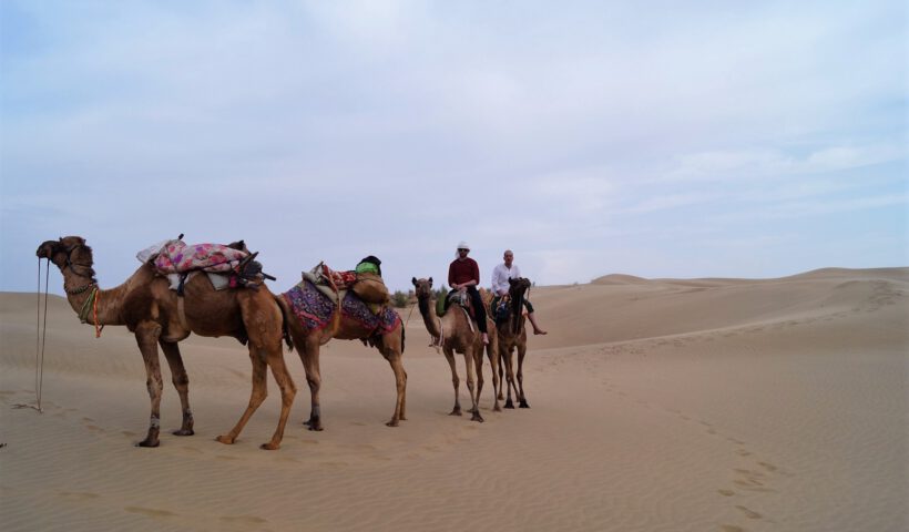 Jaisalmer Safari - Thar desert